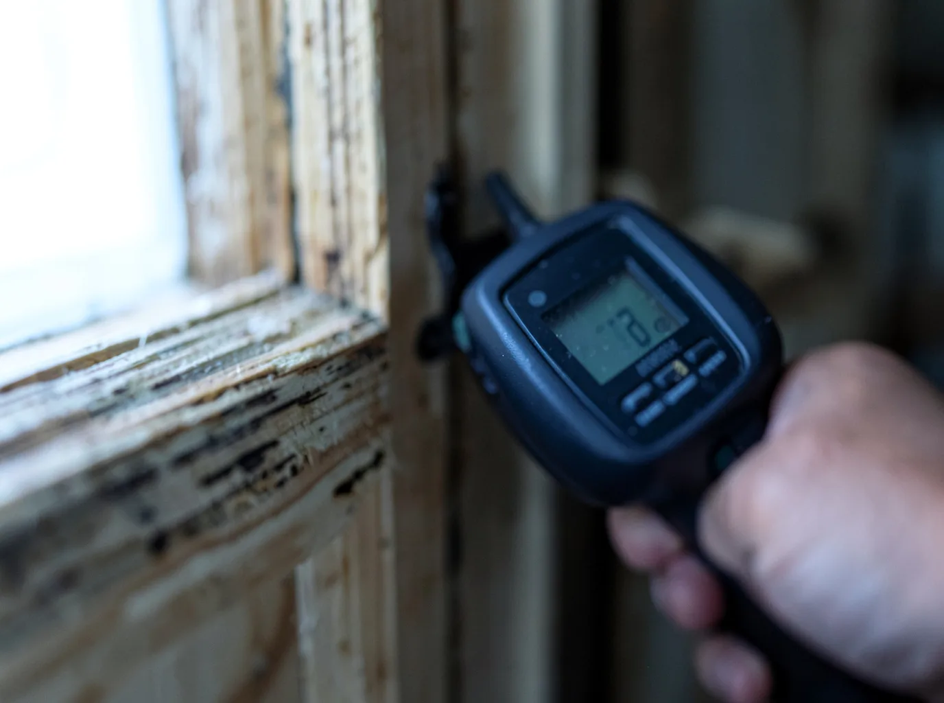 Moisture Inspection And Documentation in Bristol, VT